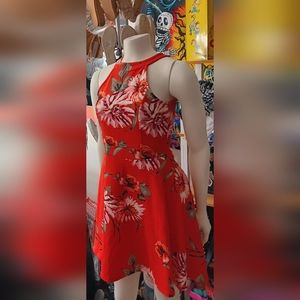 Size Small Almost Famous Dress